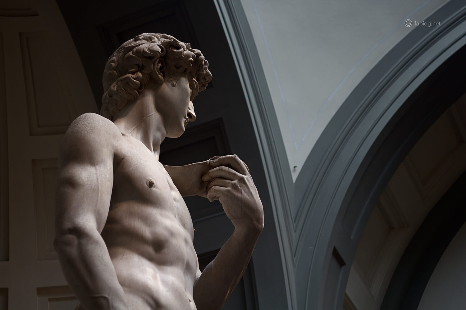 profilo David Michelangelo