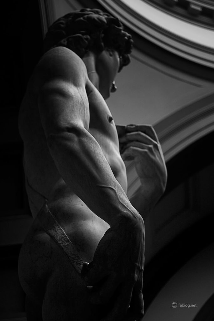 ponderatio David Michelangelo